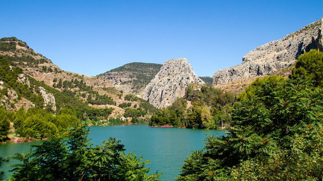 El Parque Natural Montes de Málaga: Un Refugio Verde