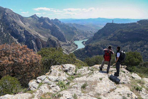 Rutas de Senderismo en Málaga: Explora la Ciudad y sus Alrededores a Pie