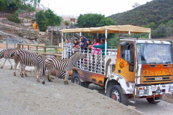 Málaga con Niños: Actividades y Lugares para Disfrutar en Familia