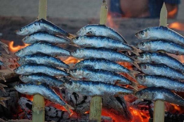 Gastronomía Malagueña: Platos Típicos que No Puedes Dejar de Probar